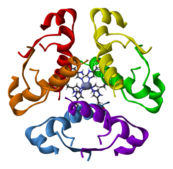 insulina