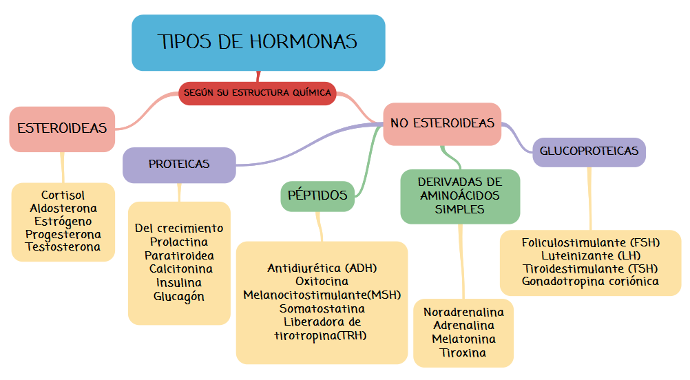 clasificación según estructura química