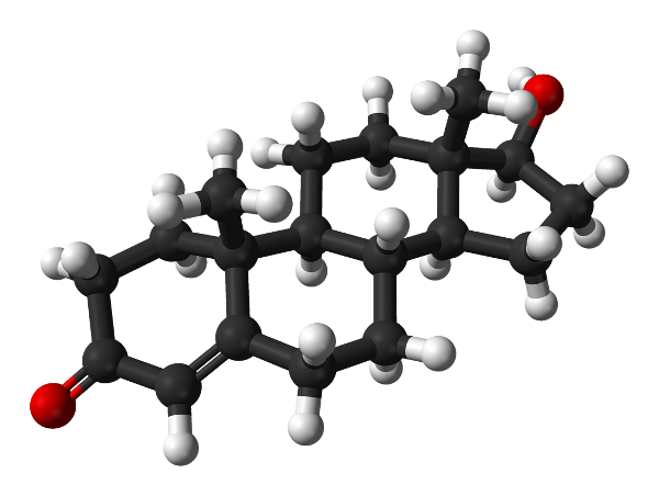 Modelo tridimensional de la estructura molecular de la hormona testosterona