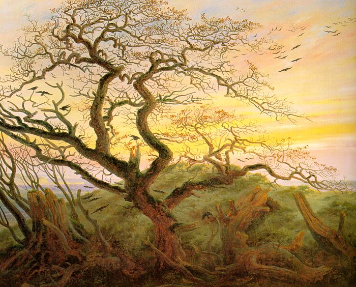 al amanecer los cuervos abandonan el árbol en que pasaron la noche