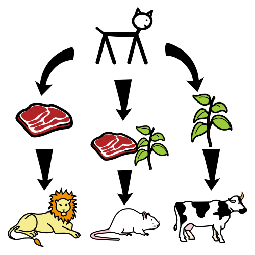 Imagen de animales plantas y trozos de carne,imitando una rueda de alimentos.