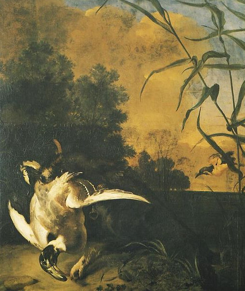 la caza del pato