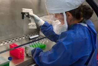 Investigación y Desarrollo