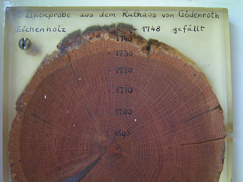 Dendrocronología