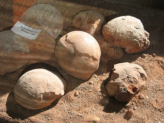 Huevos de dinosaurio
