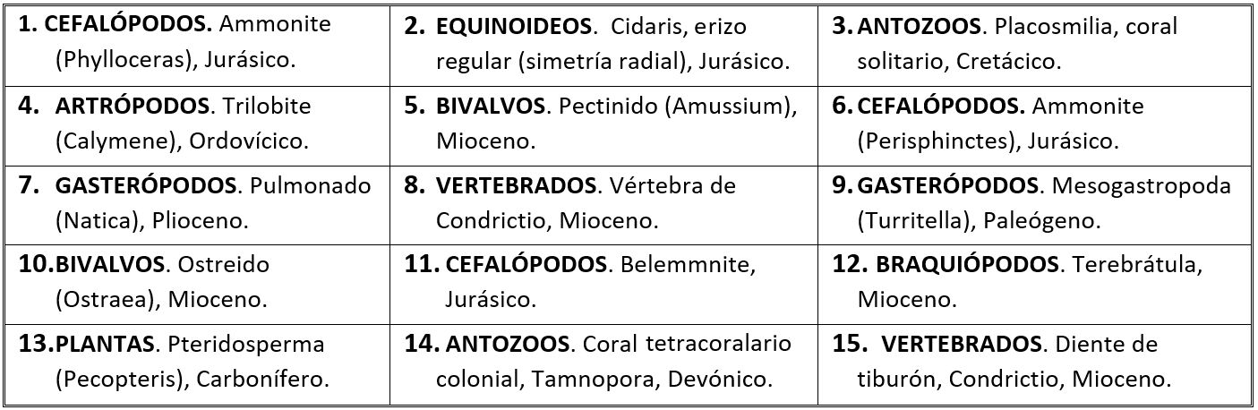 Solución