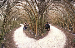 Bifurcación en el bosque.