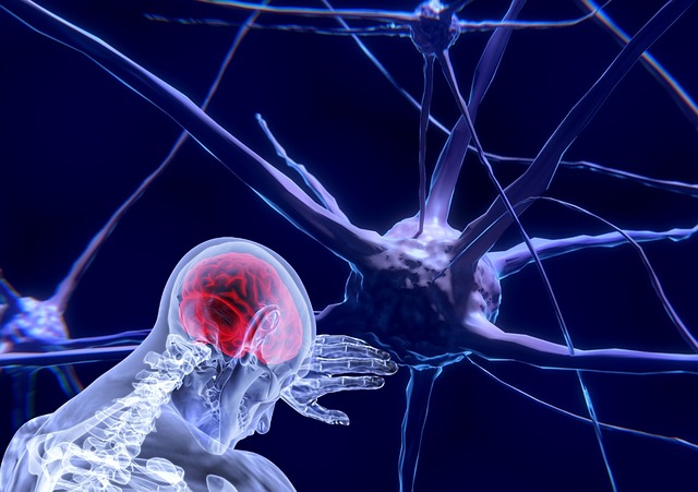 Neutronas y cerebro Neutronas y cerebro
