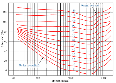 Diagrama sobre los niveles de percepción humana