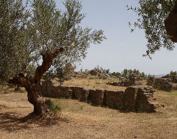 Esparta