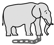 elefante encadenado