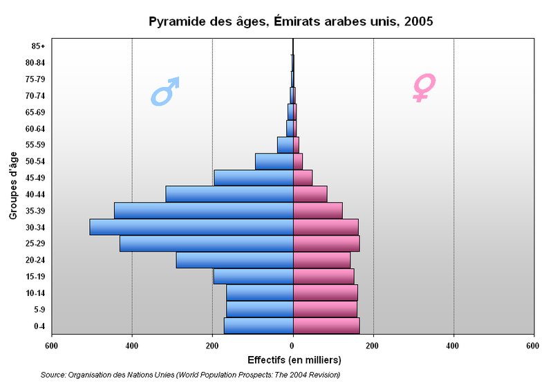 Pirámide con un perfil irregular. Propia de un país con población desequilibrada por sexos como es Emiratos Árabes Unidos. 