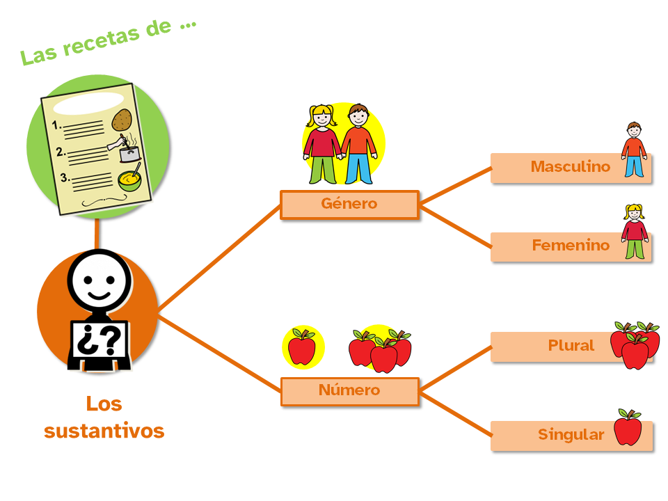 Esquema sobre el género y némero en los sustantivos