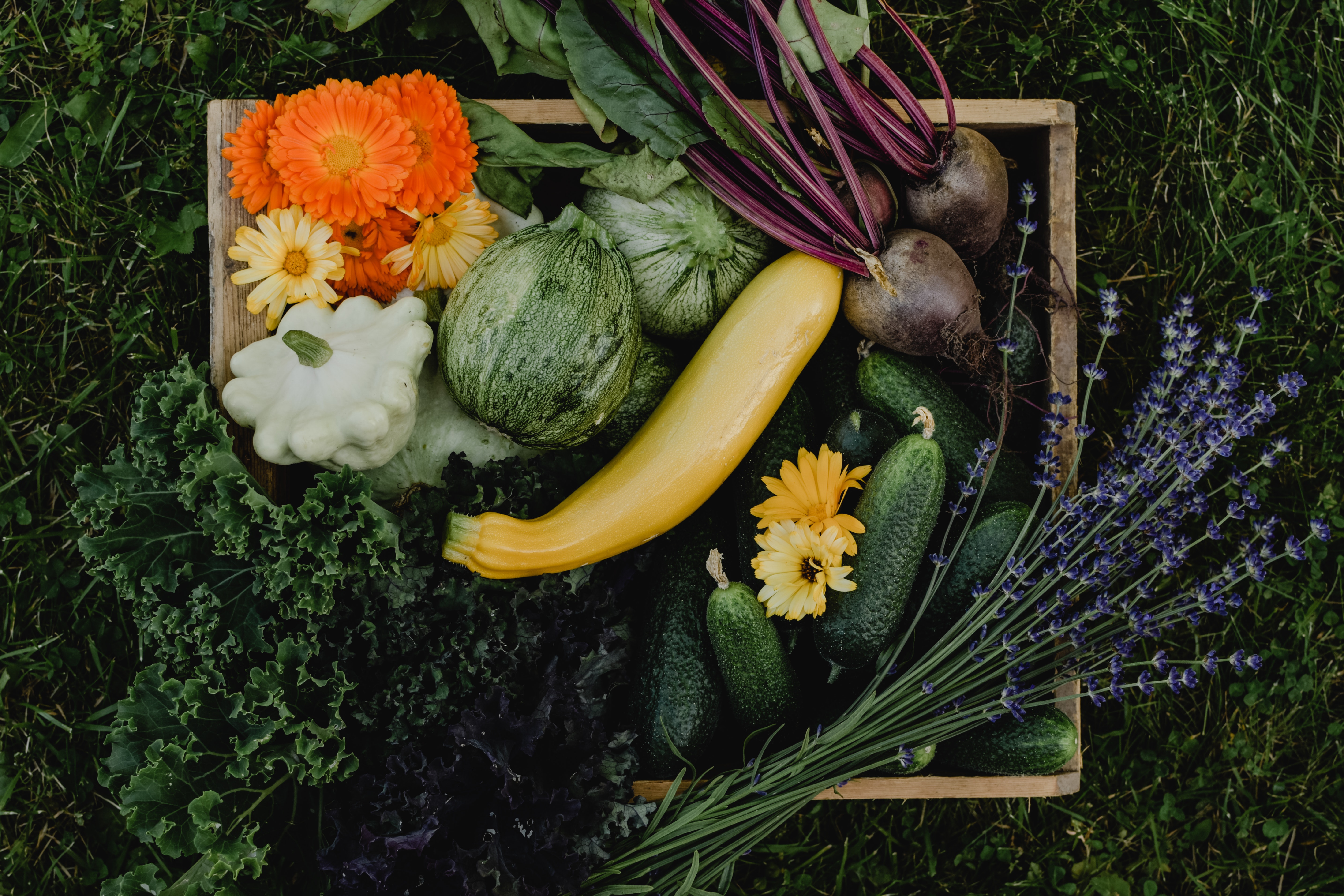 Esta imagen muestra diferentes verduras de temporada