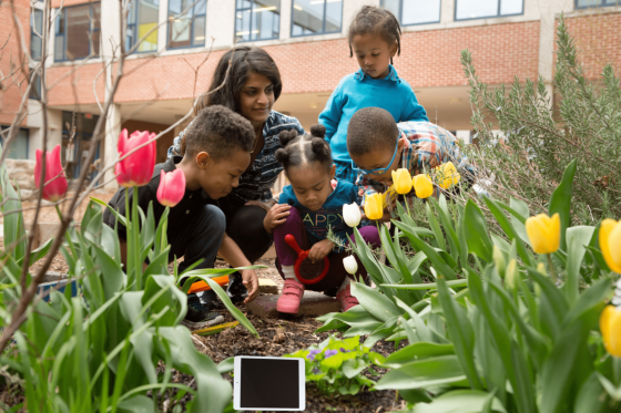 Varios niños y niñas están en un jardín con su maestra. Una tableta está escondida.