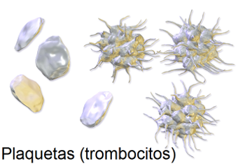 plaquetas