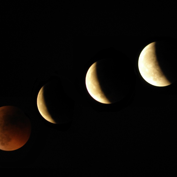 fotografía que recoge las diferentes imágenes de la Luna a lo largo de todas sus fases.