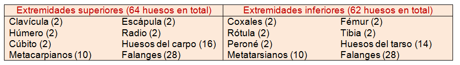 huesos del esqueleto apendicular