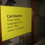 En la imagen puedes ver la etiqueta en el armario de exposición de un museo