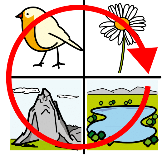 La imagen muestra un dibujo de cuatro elementos de la naturaleza con una flecha roja en forma de círculo encima que los relaciona. Los elementos son: pájaro, flor, montaña y lago.