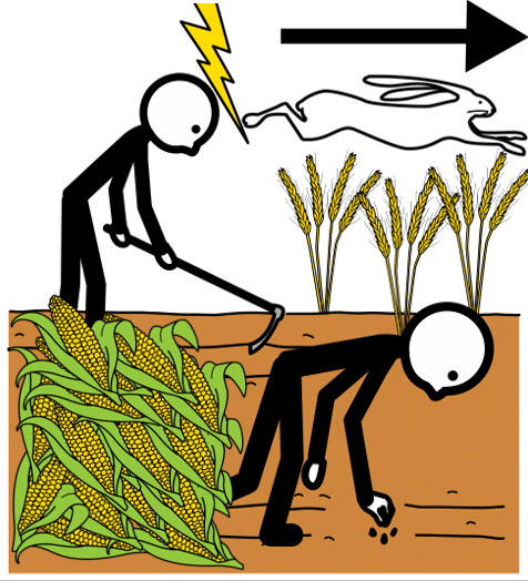 La imagen muestra un dibujo de dos personas trabajando en el campo. Aparecen una liebre y un rayo porque van rápido y un montón de mazorcas de maíz.