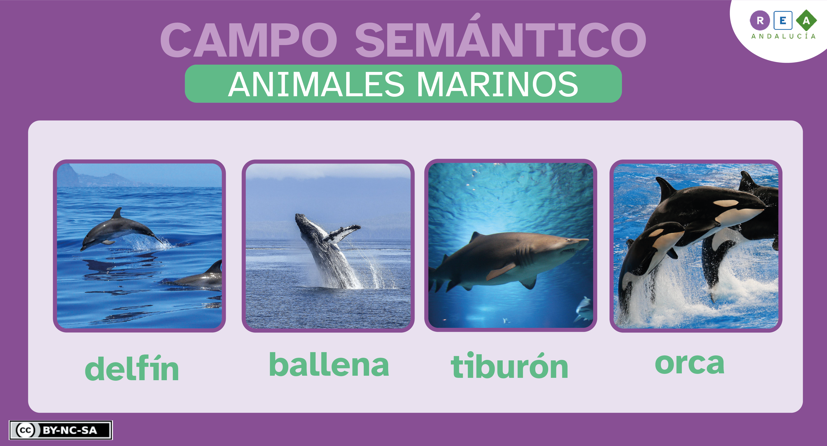 Campo semántico animales marinos