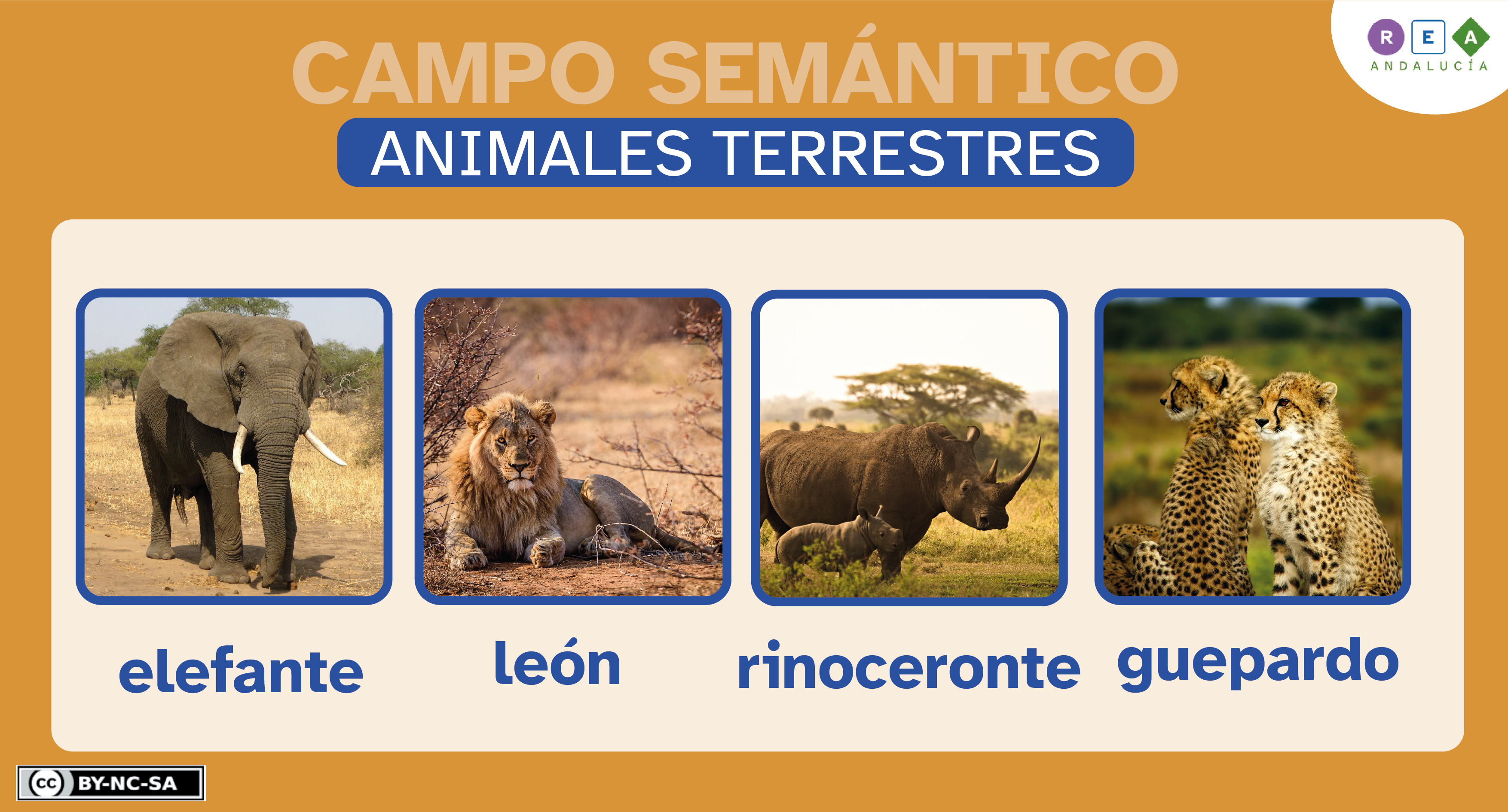 Campo semántico animales terrestres