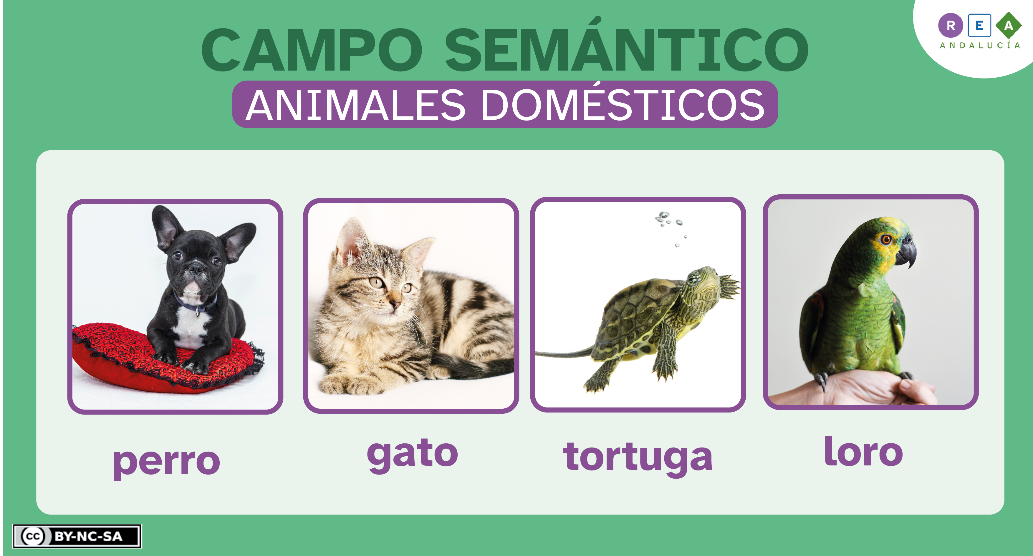 Campo semántico animales domésticos