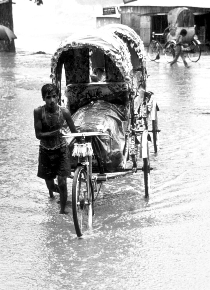 Carro bici