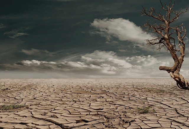 Desierto