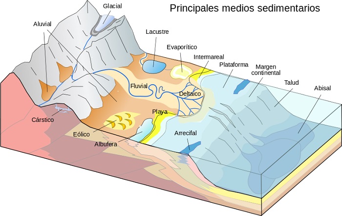 Tipos de medios sedimentarios