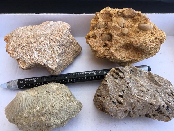 Rocas sedimentarias