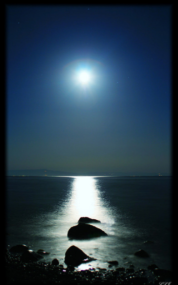 http://www.flickr.com/photos/21829439@N04/3057530383/