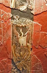 Frescos de la Casa de la Fortuna, Cartagena