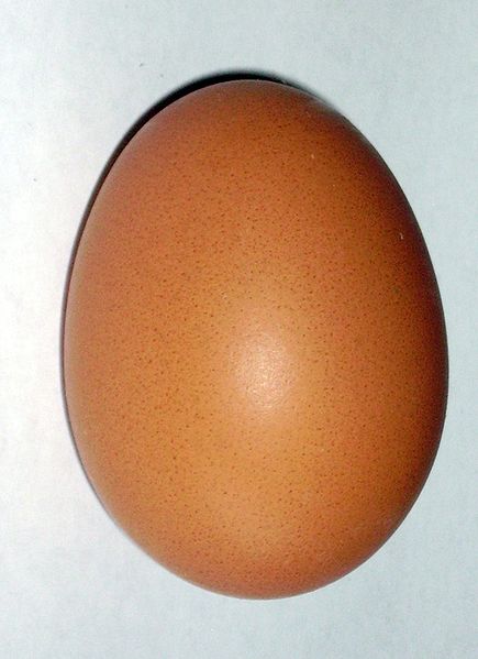 Huevo