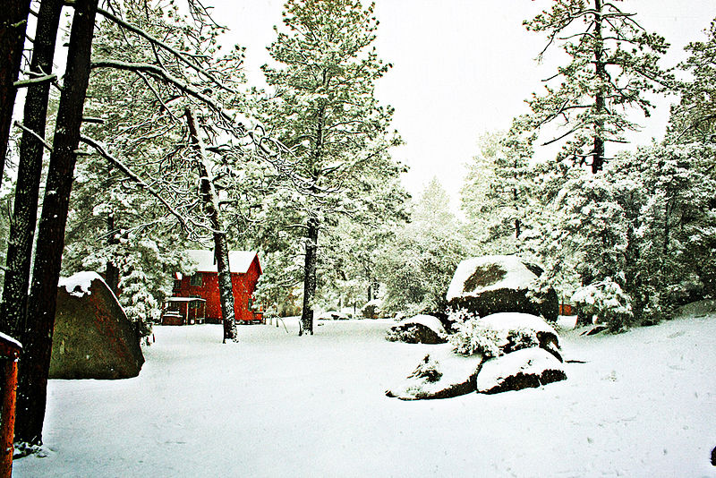 Nieve
