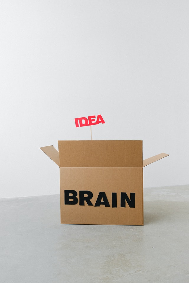La imagen muestra una caja en la que pone “cerebro”, y de la que sale un bocadillo que pone “idea”. 