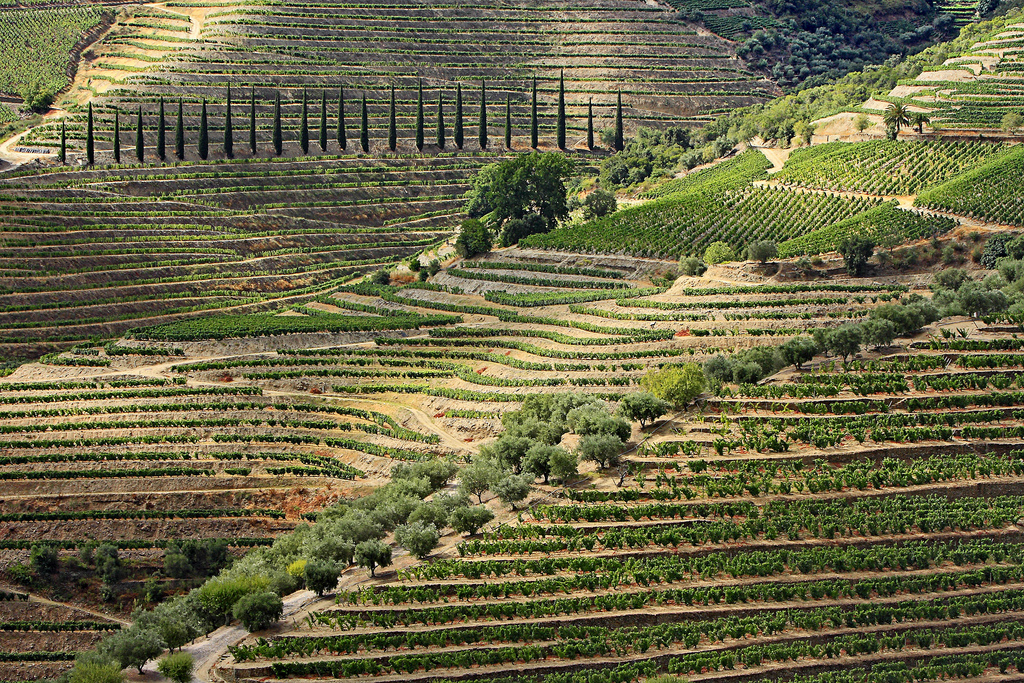 En la península Ibérica, los aterrazamientos y abancalamientos han sido tradicionalmente un recurso primordial para impedir la erosión de los suelos y aprovechar las laderas de las montañas para los cultivos, como estos en el Alto Duero.