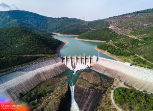 Pantano