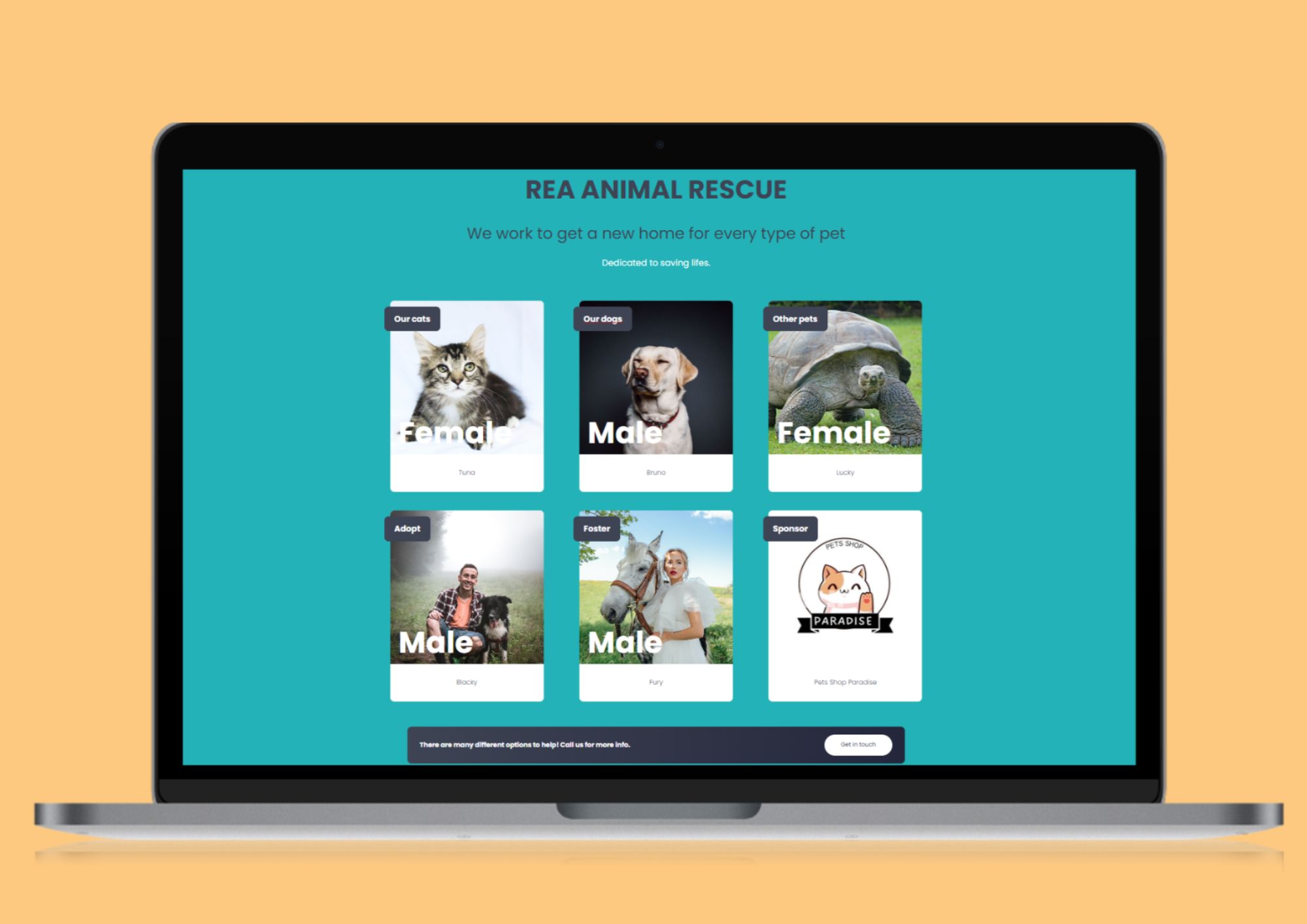 En la imagen puedes ver una página web dedicada a buscar un hogar a animales domésticos