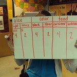 En la imagen puedes ver una profesora que muestra una tabla de conteo sobre características de animales