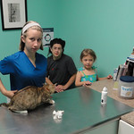 En la imagen puedes ver una veterinaria que está atendiendo a un gato en su consulta, mientras la familia del gato espera