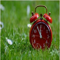 La imagen muestra un reloj en un césped.
