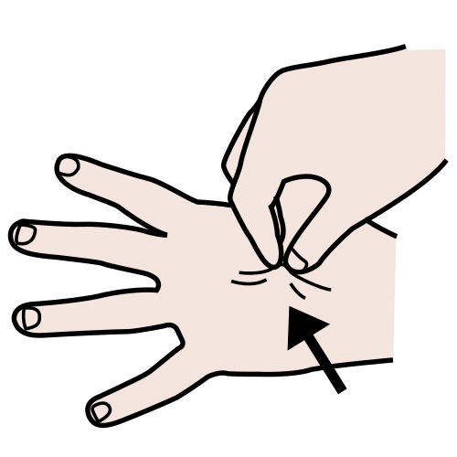 Skin La imagen muestra unos dedos pellizcando la mano, debajo hay una flecha que señala la piel pellizcada.