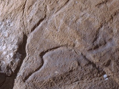 Cabeza de un caballo grabado en la Cueva del Moro