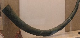 Tuba romana