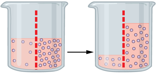 ósmosis
