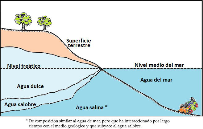 Acuífero costero