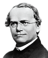 Gregor Mendel (1822-1884)