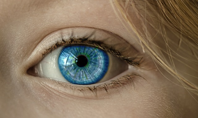 Primer plano de un ojo azul